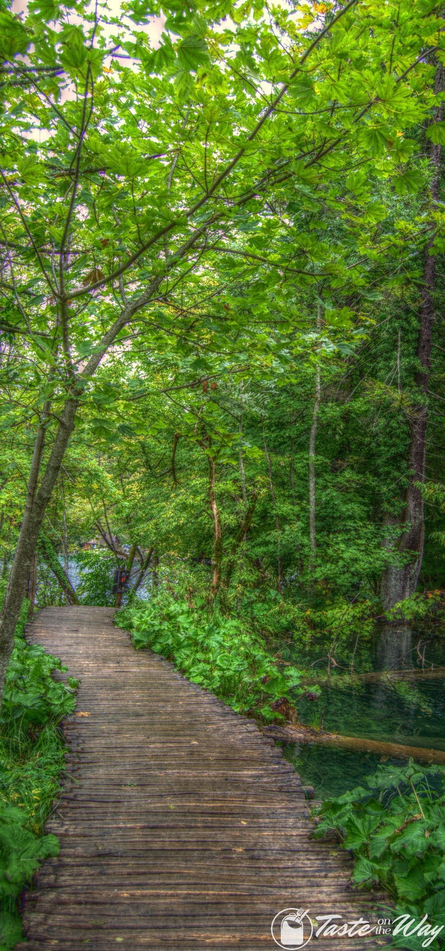 One of the top #tips visiting #Plitvice Lakes National Park in #Croatia is to watch out out for the slippery paths. Check out for more! #travel #photography @tasteontheway