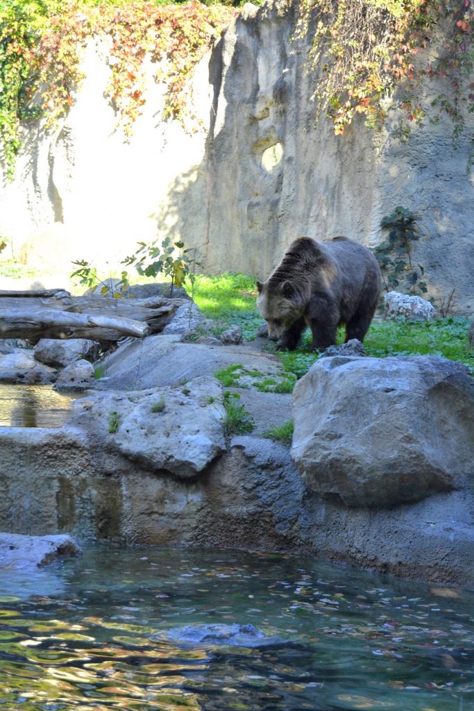 Top 10+ Best Things to Do in Rome, Italy