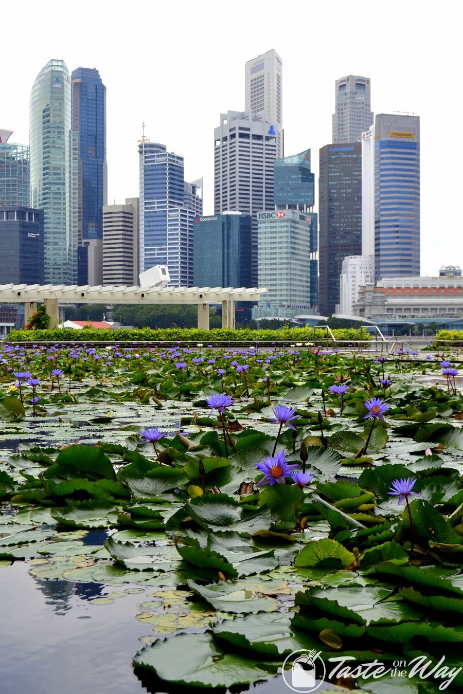 Top 10 Best Things to Do in Singapore - Visiting the Marina Bay is just one of the top #thingstodo in #Singapore. Check out for more! #travel #photography @tasteontheway