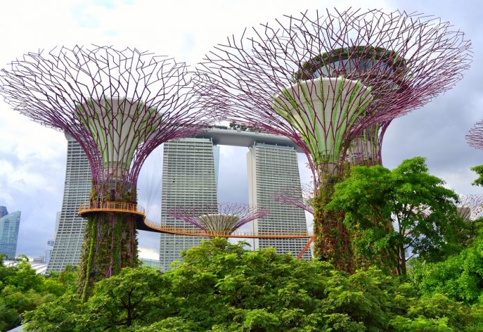 singapore-cover