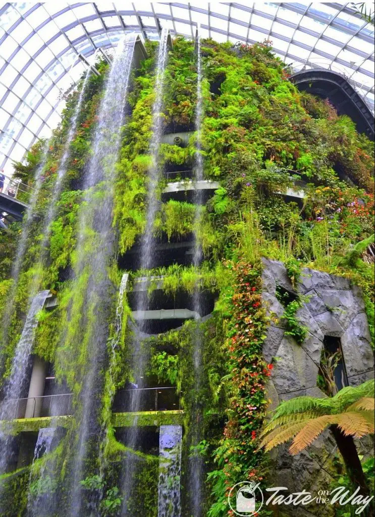 Visiting the Cloud Forest in Gardens by the Bay is just one of the top #thingstodo in #Singapore. Check out for more! #travel #photography @tasteontheway