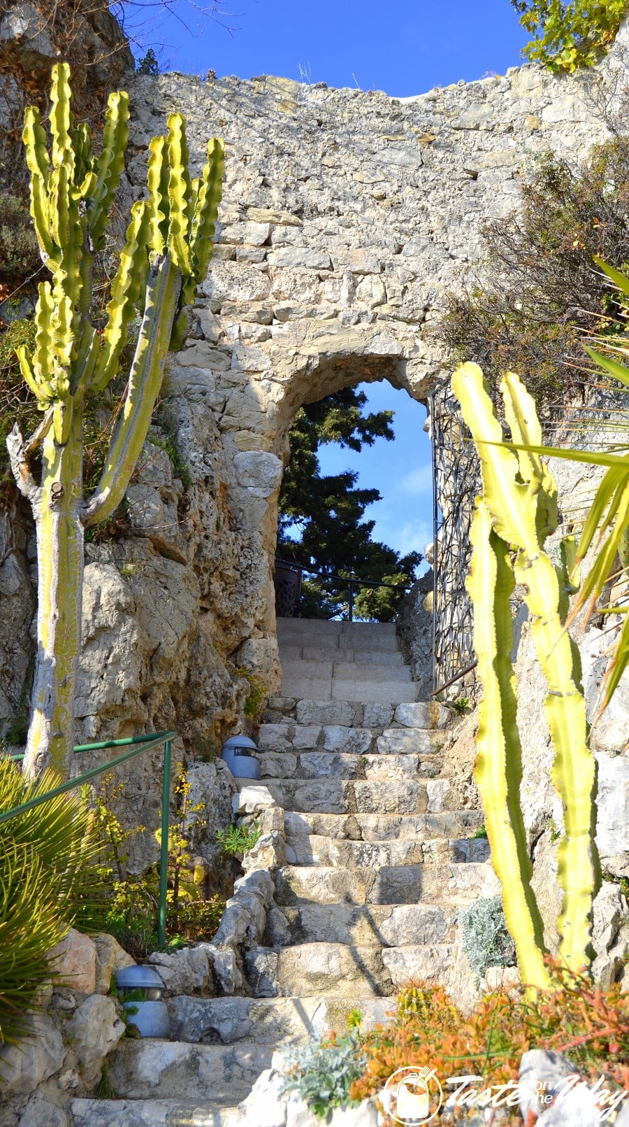 Things to Do in Eze Village, France - an arc in the botanic garden #travel #photography #France