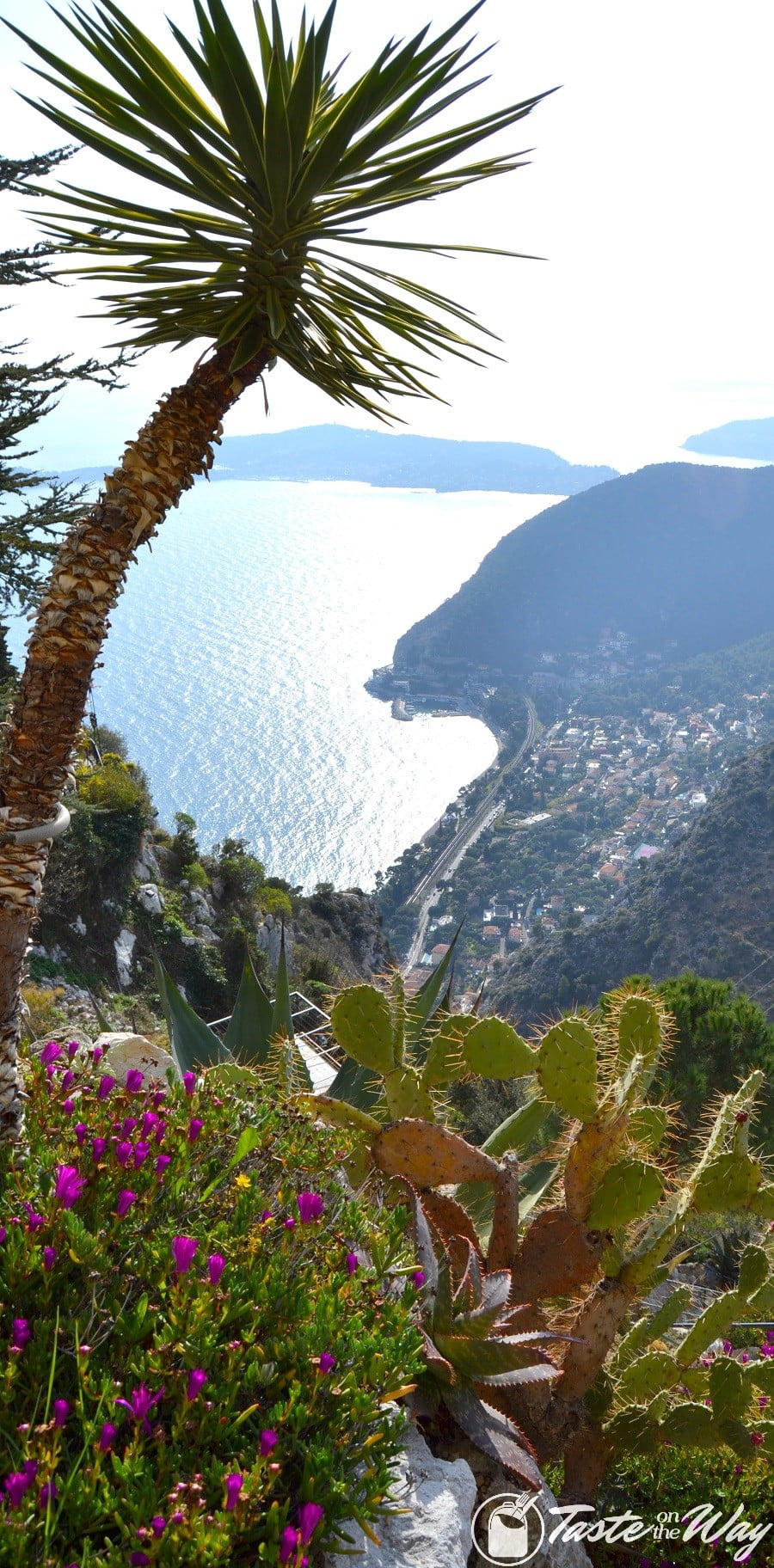 Things to Do in Eze Village, France - overlooking the sea from the botanic garden #travel #photography #France