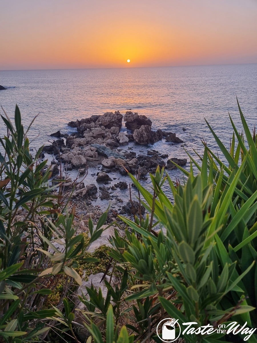 cyprus december green