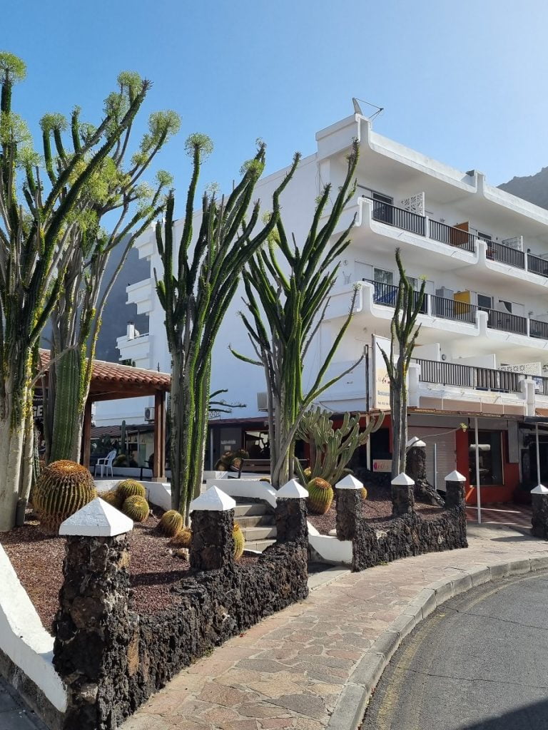 Street in Los Gigantes