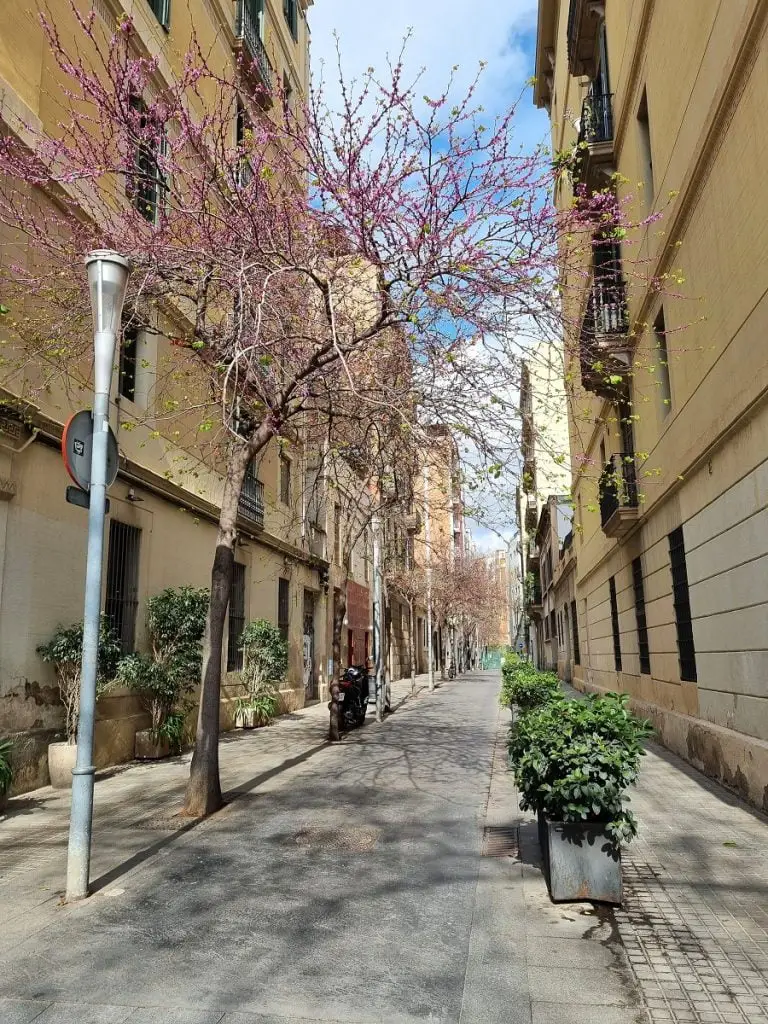 Barcelona Street