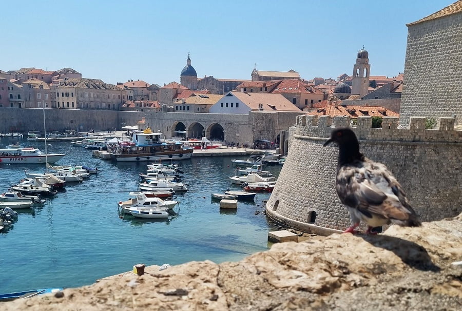 Walls of Dubrovnik