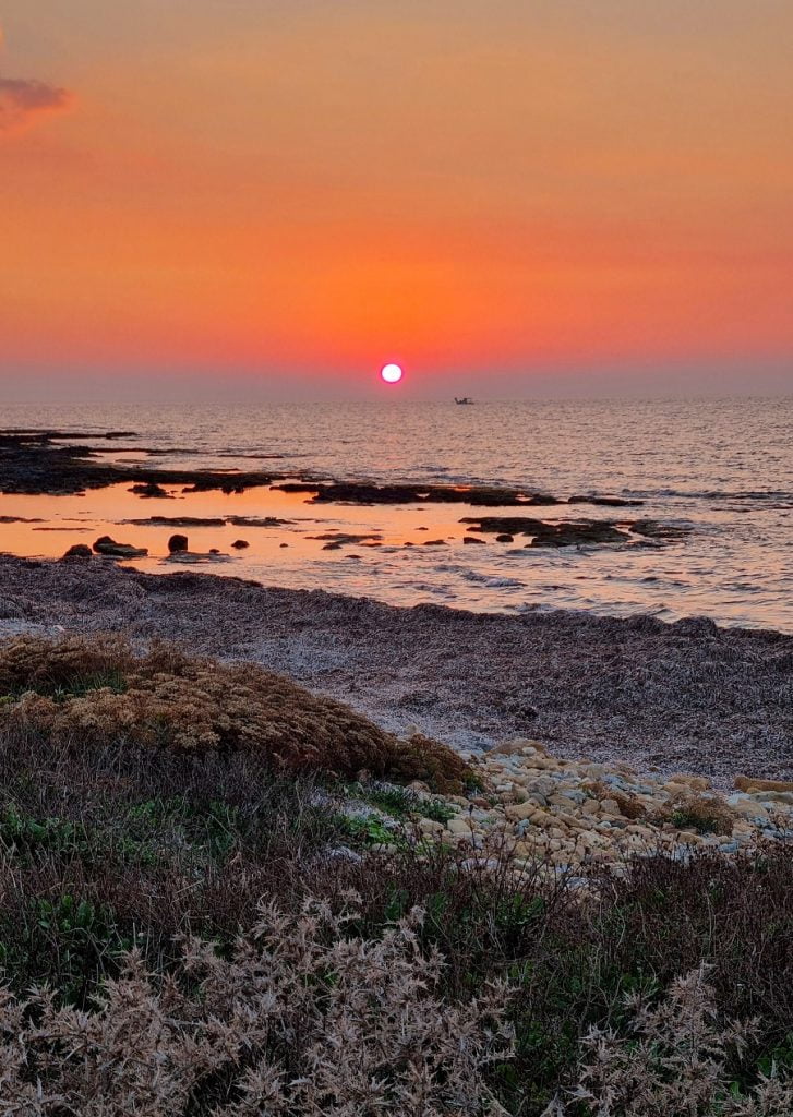 Evening in Paphos