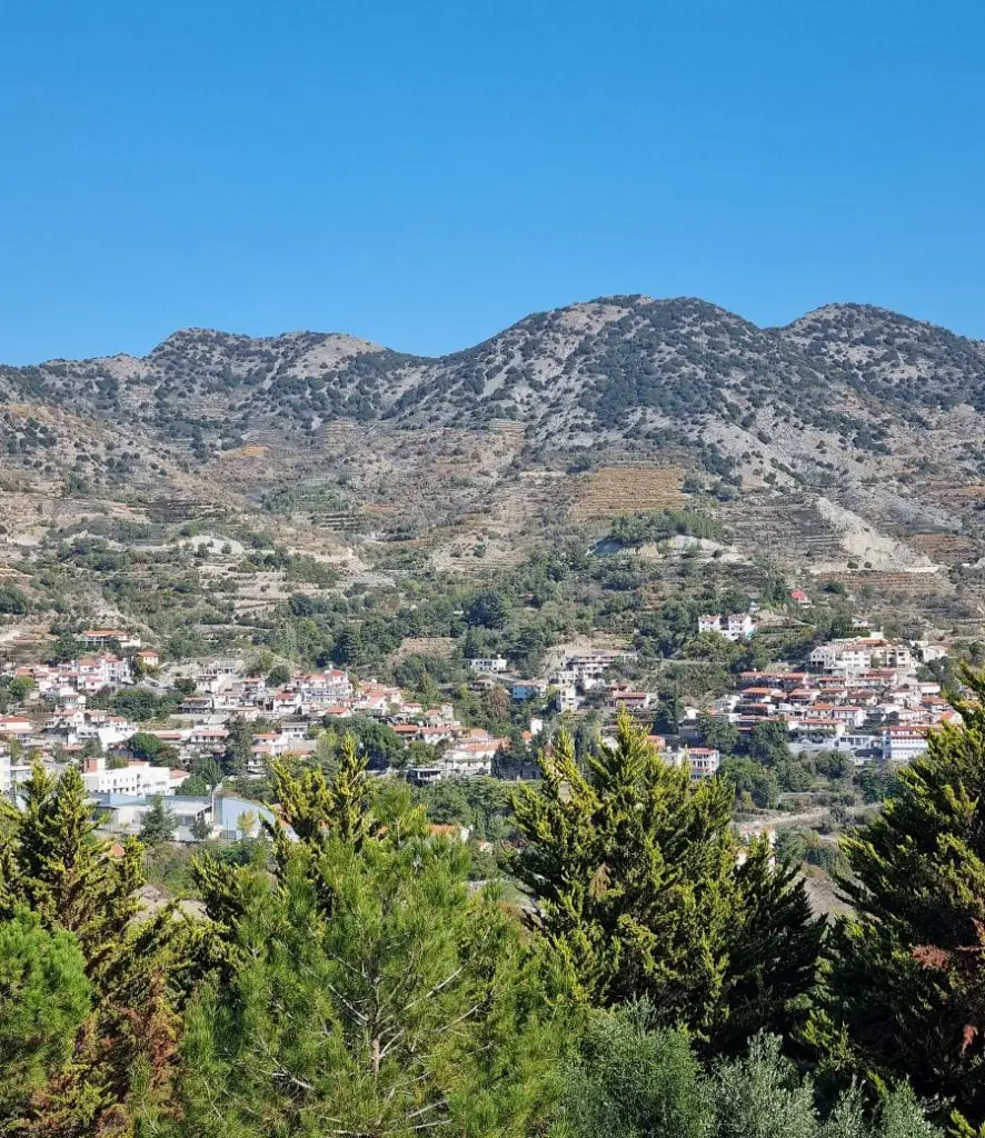 The View of Agros