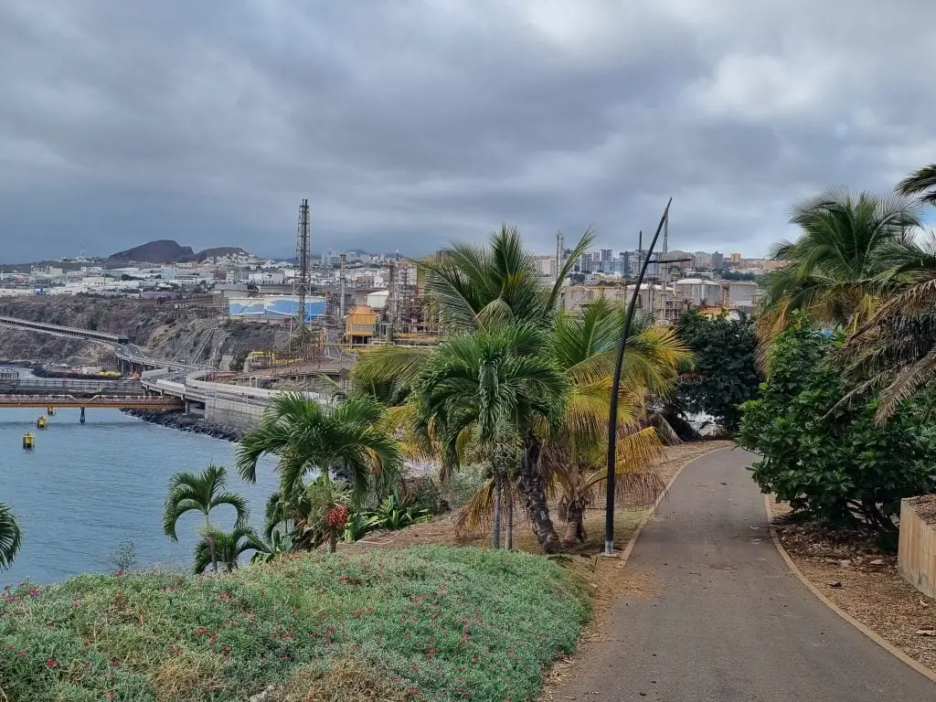 The View of Santa Cruz de Tenerife from Palmetum