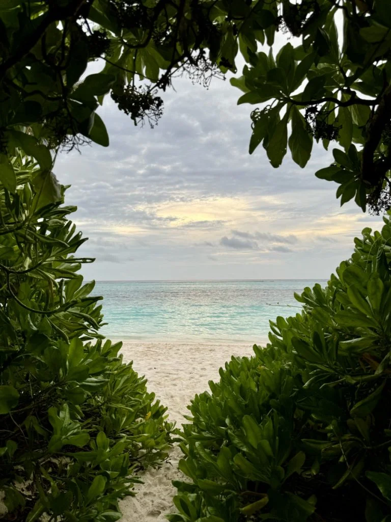 Ocean View