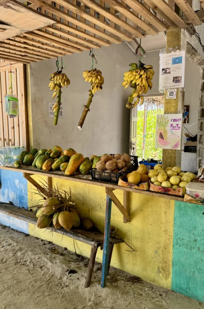 Fruits on the Thoddoo Beach