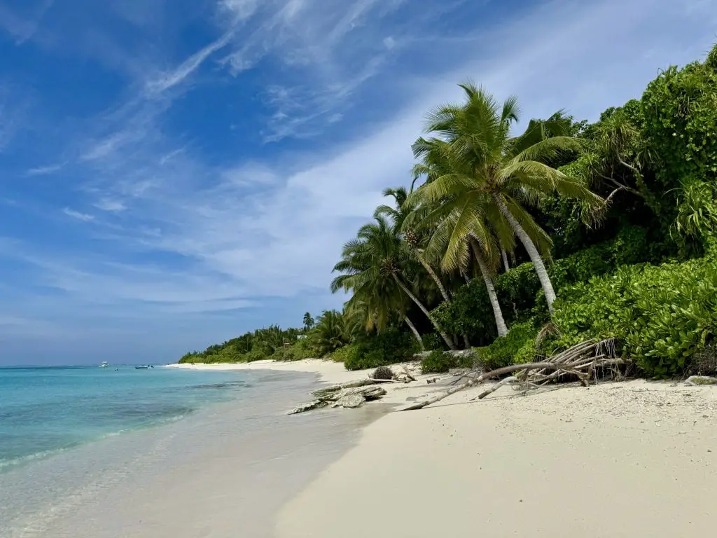 Beach in Thoddoo Island