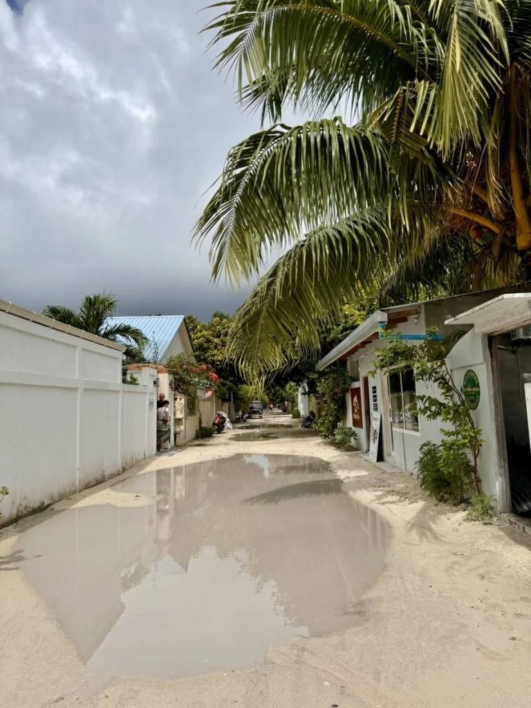 Street in Thoddoo after the Rain
