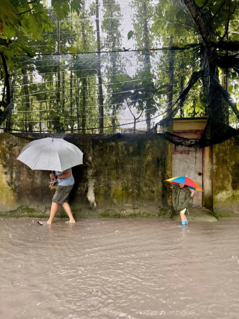 Rainy Day