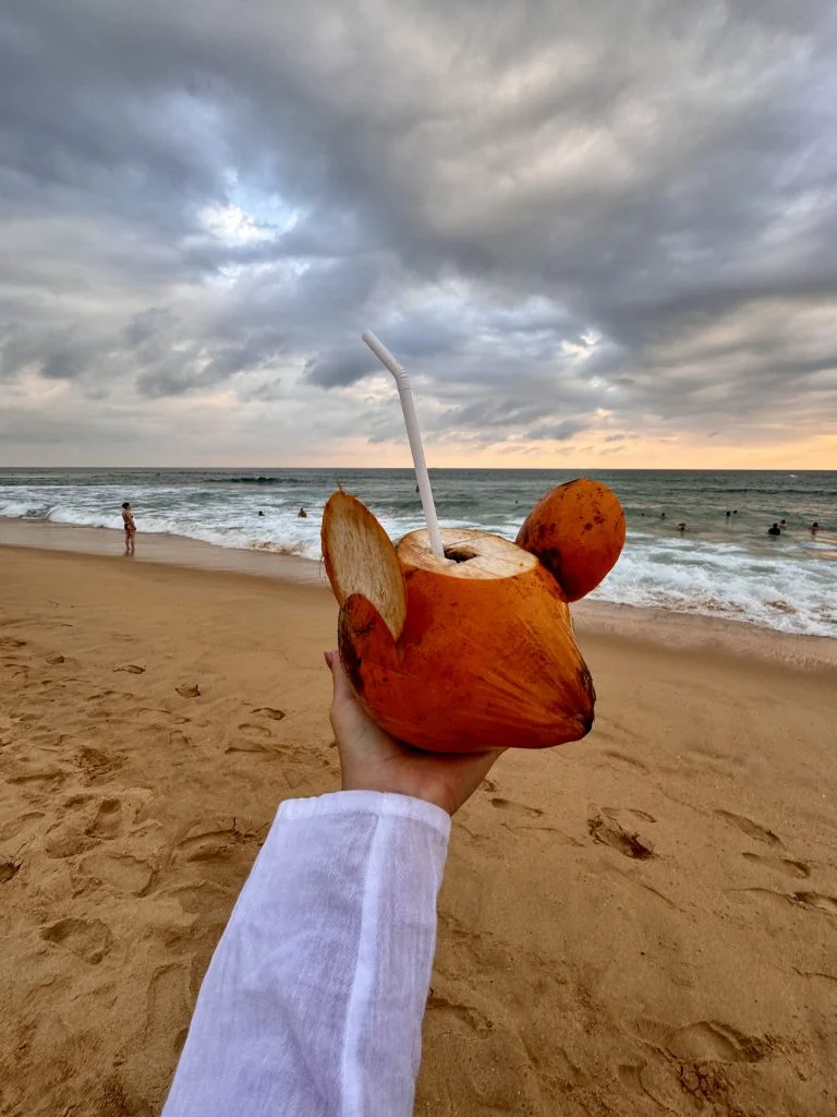 Coconut