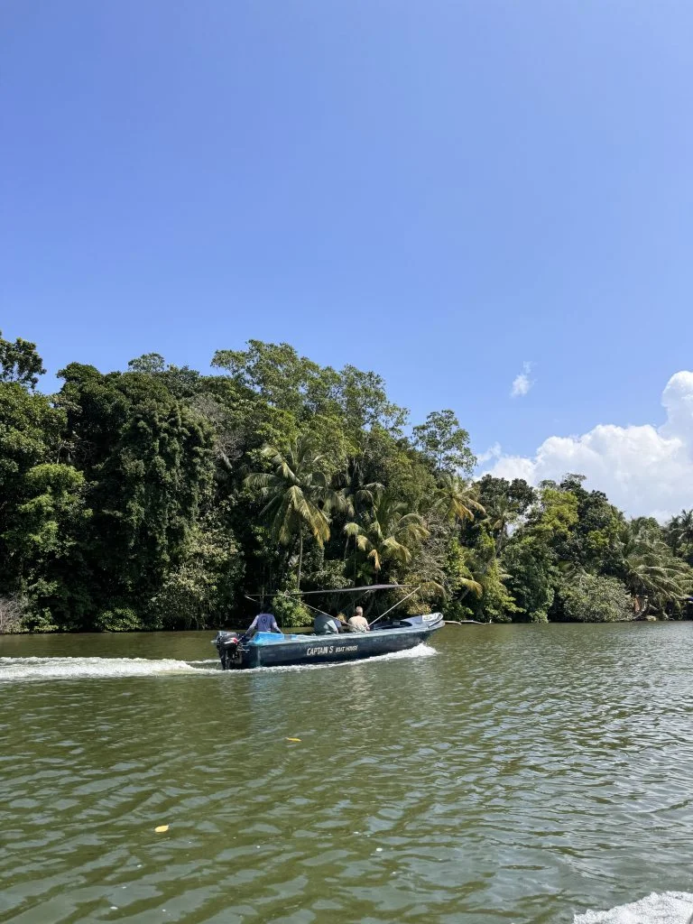 River Safari