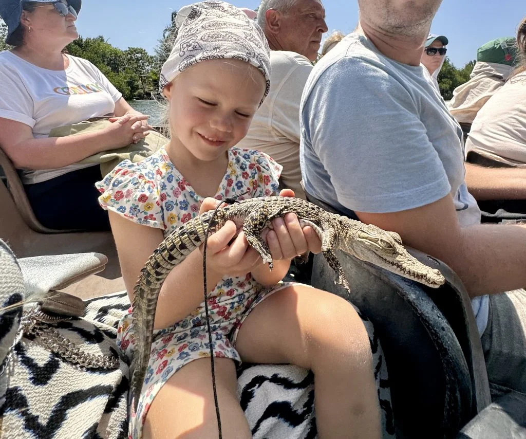 Holding a Small Crocodile