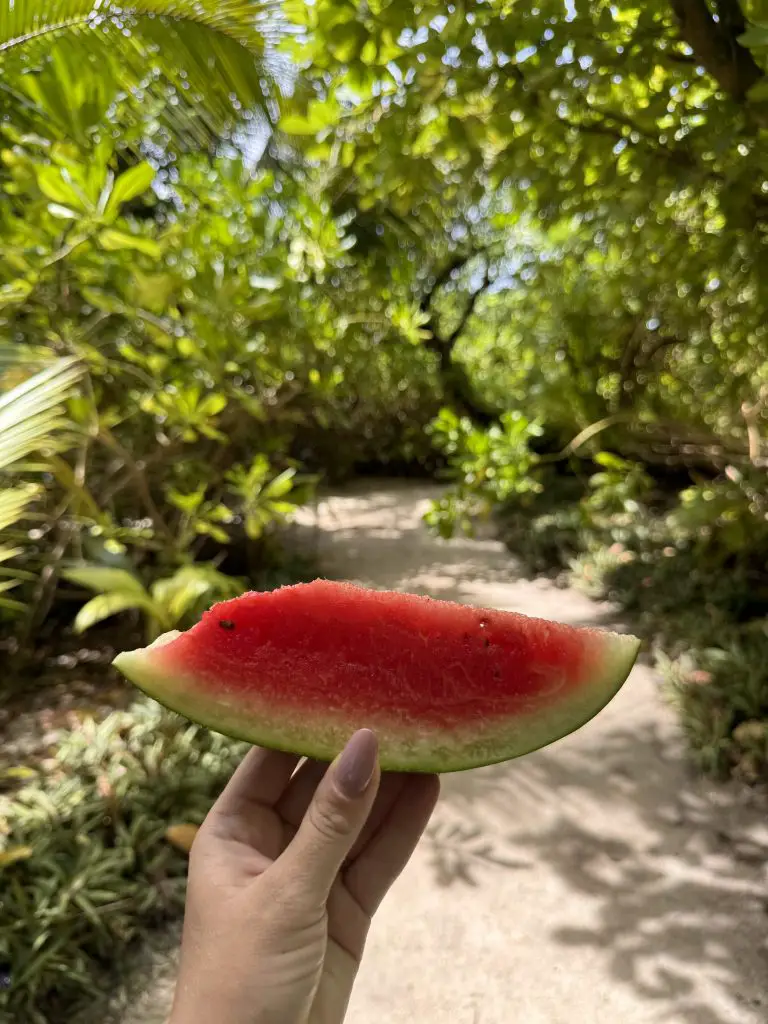 Slice of Fresh Watermelon