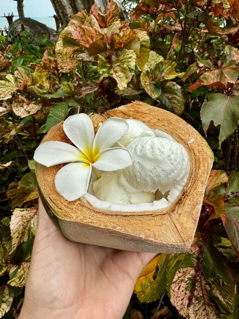 Coconut ice cream