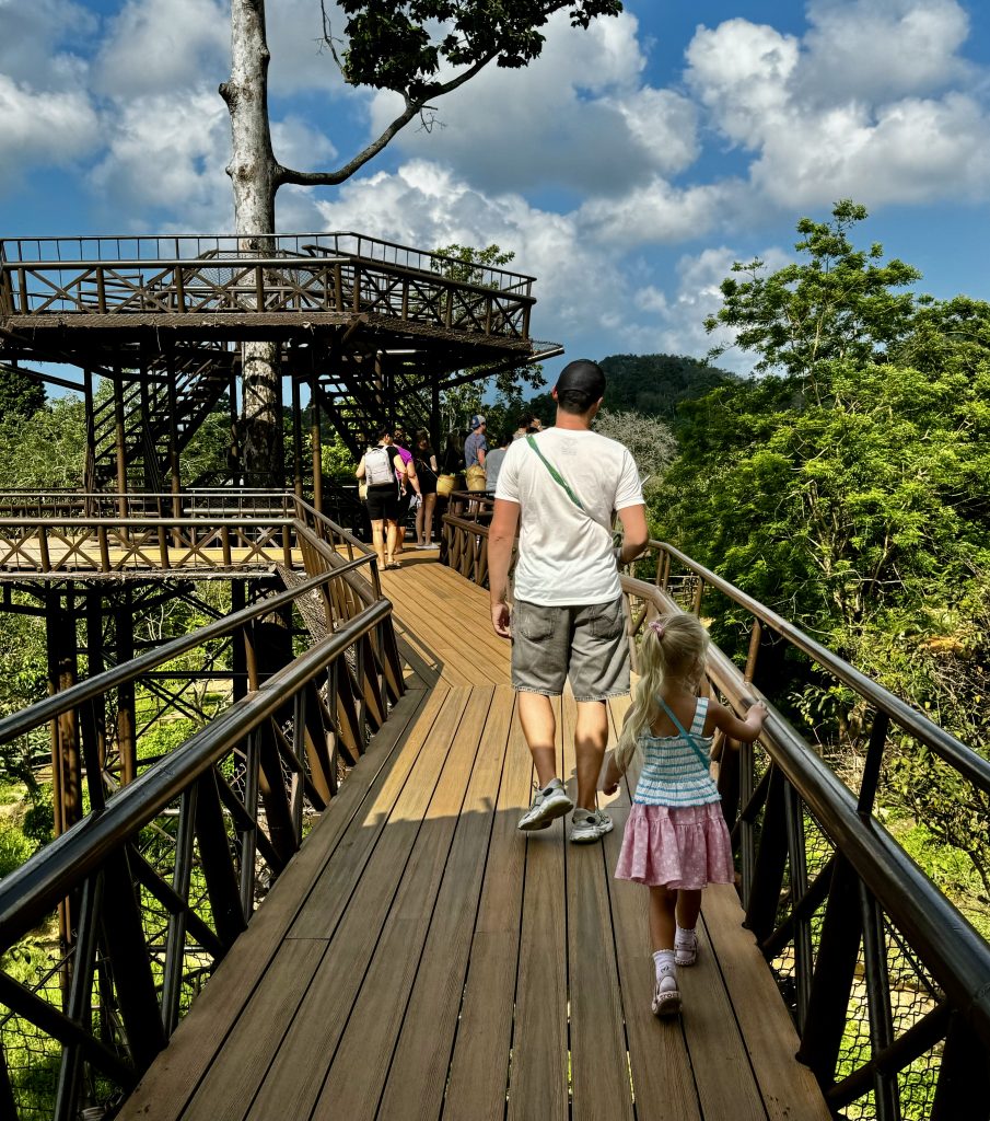 A Walk Above the Elephants