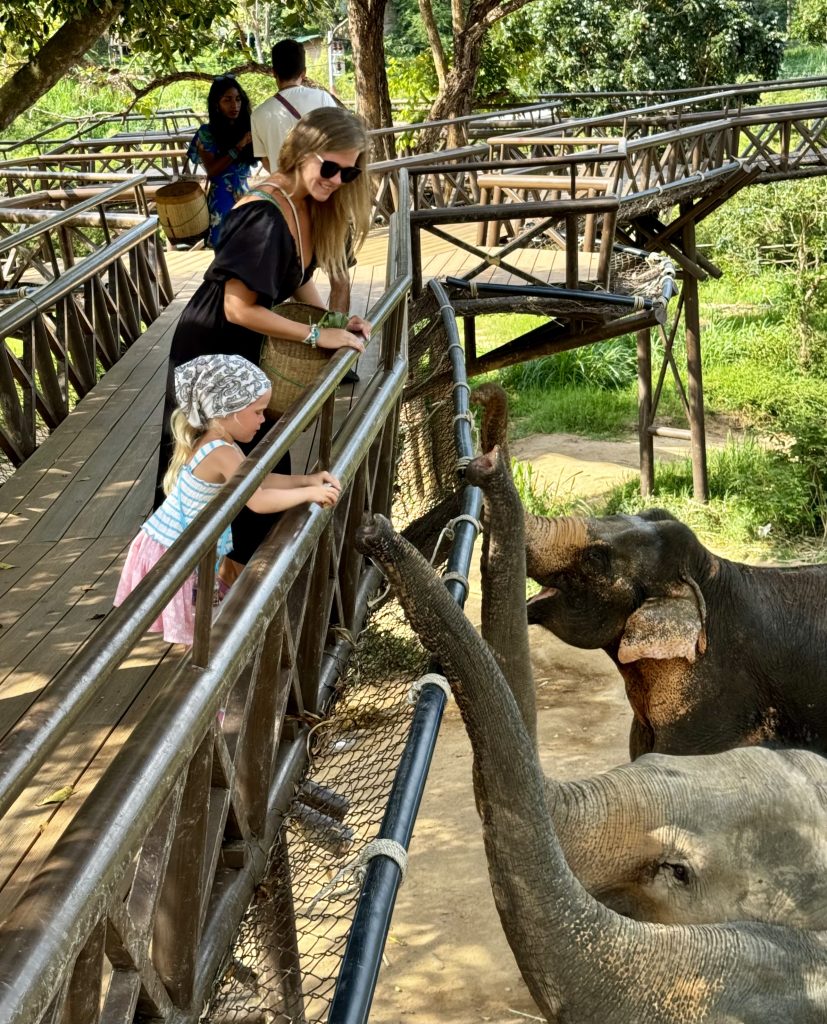 Feeding the Elephant