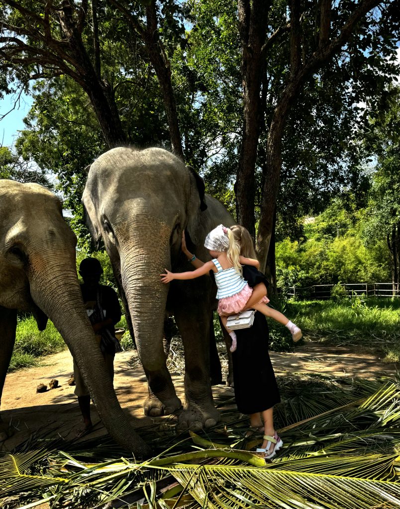 Elephant Kingdom Sanctuary