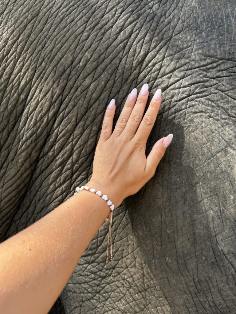 Touching the Elephant