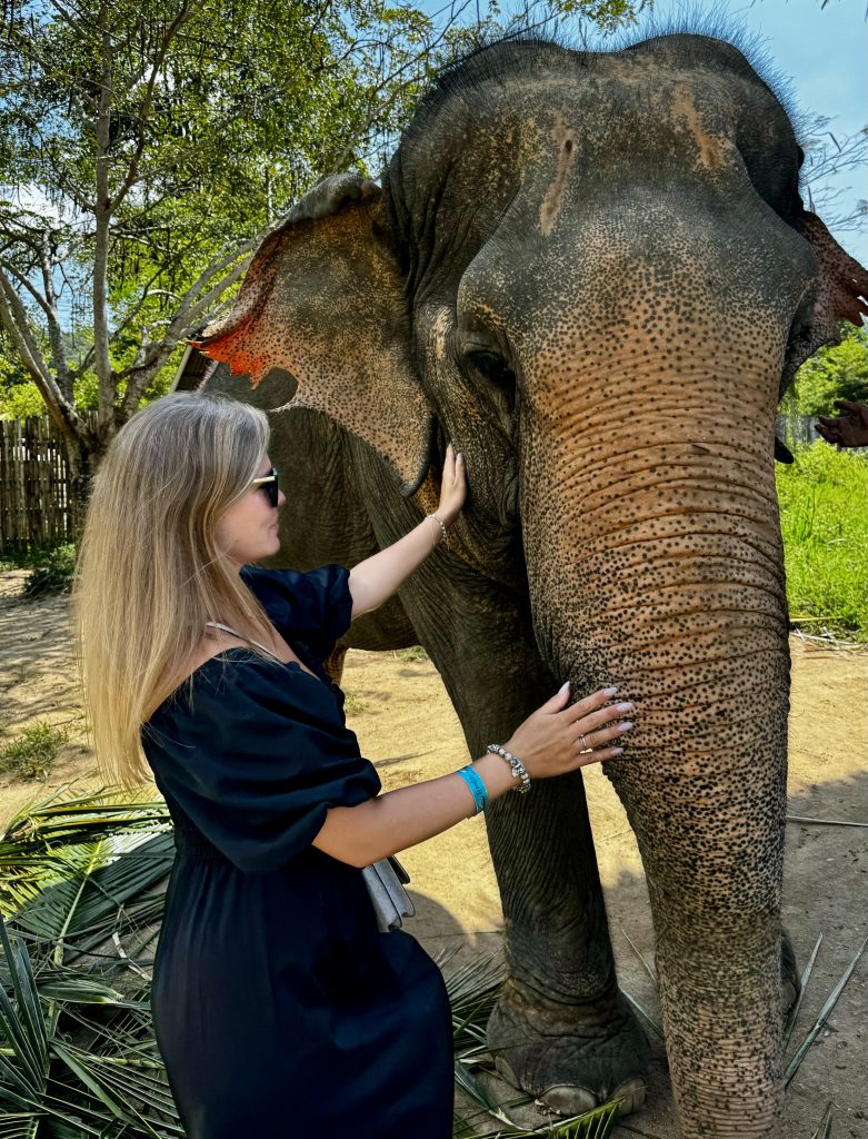 Elephant Kingdom Sanctuary