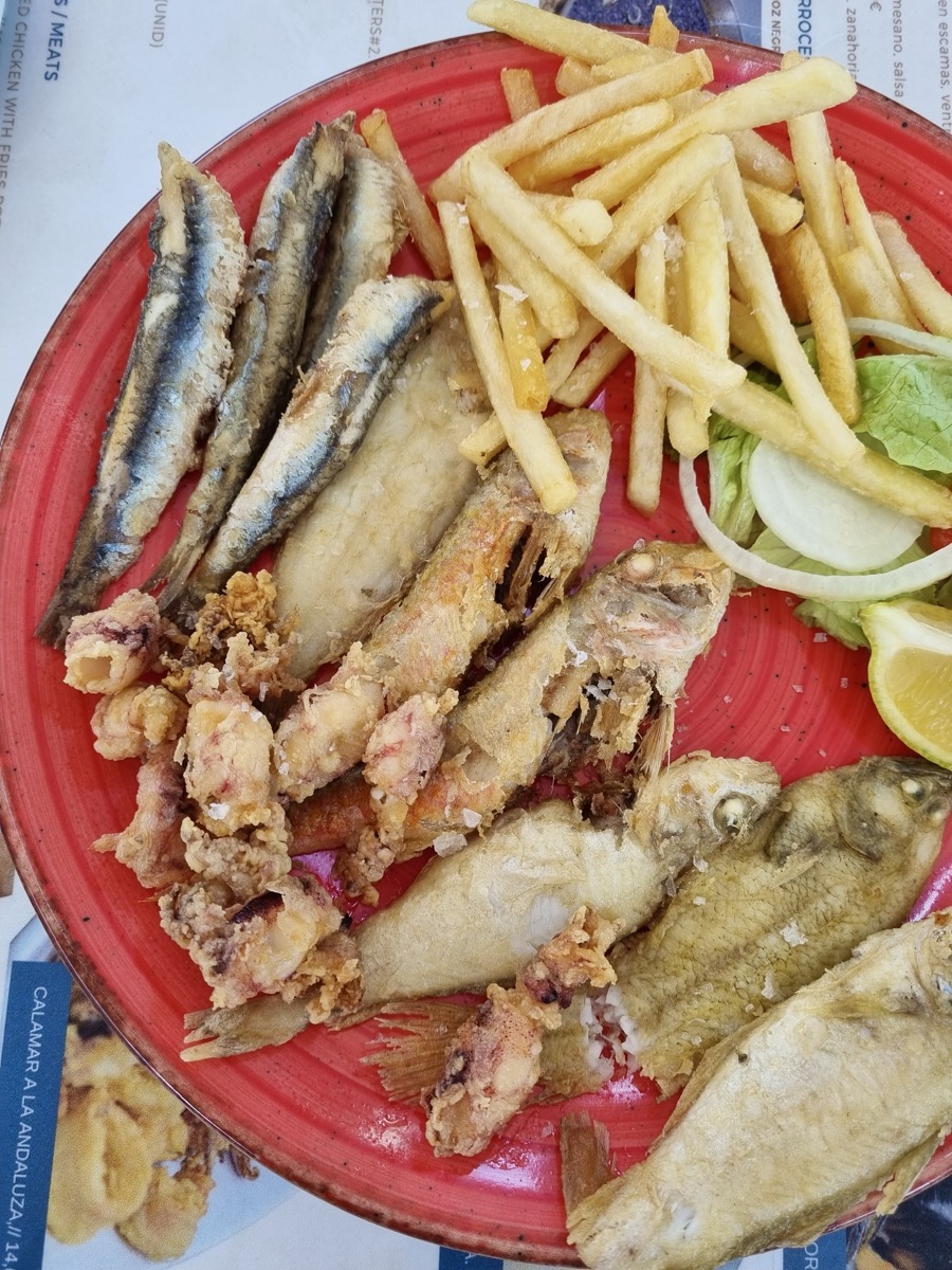 grilled and fried sardines