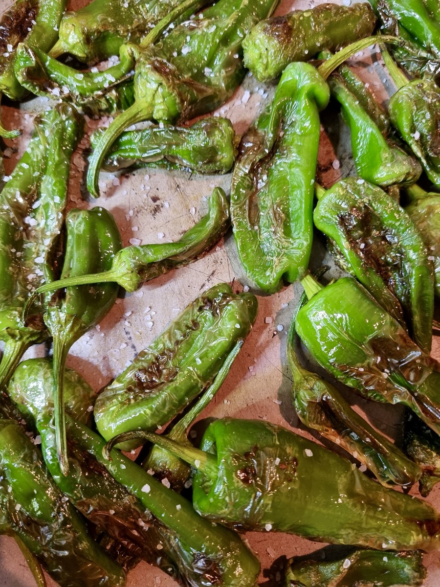 pimientos padron