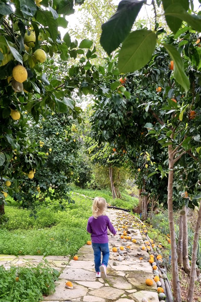 Citrus Garden