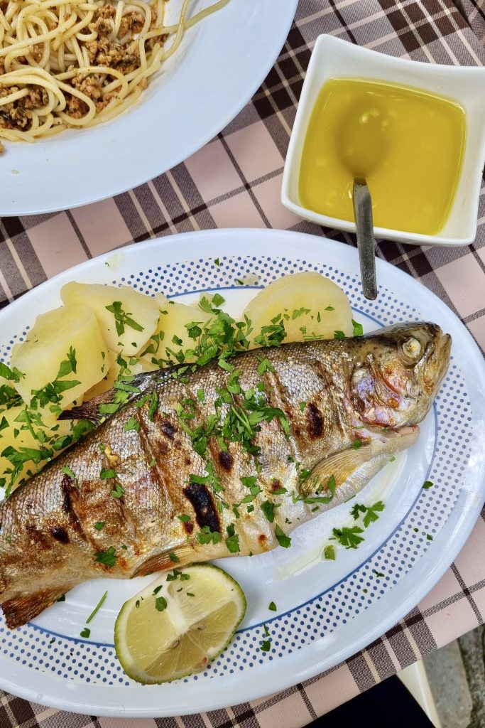 Whole grilled trout