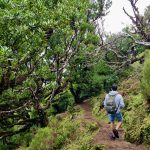 Hiking in Madeira