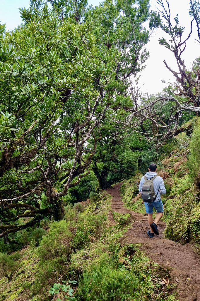 Hiking in Madeira