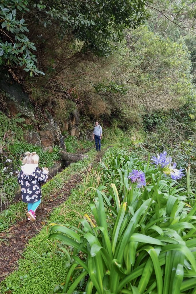 Hiking in Madeira