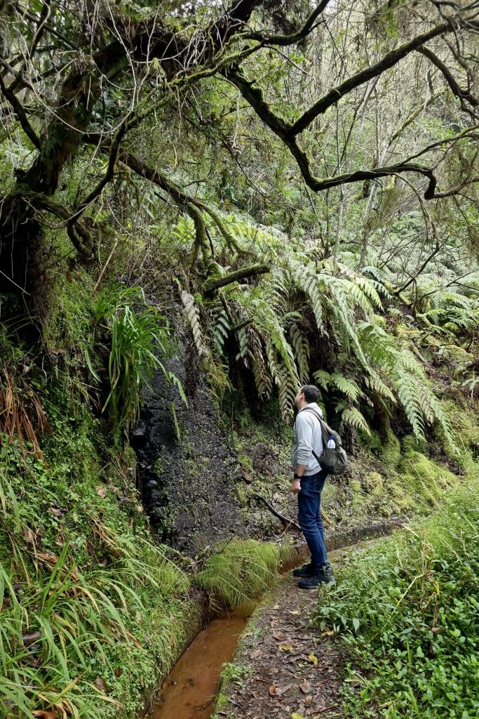 Hiking in Madeira