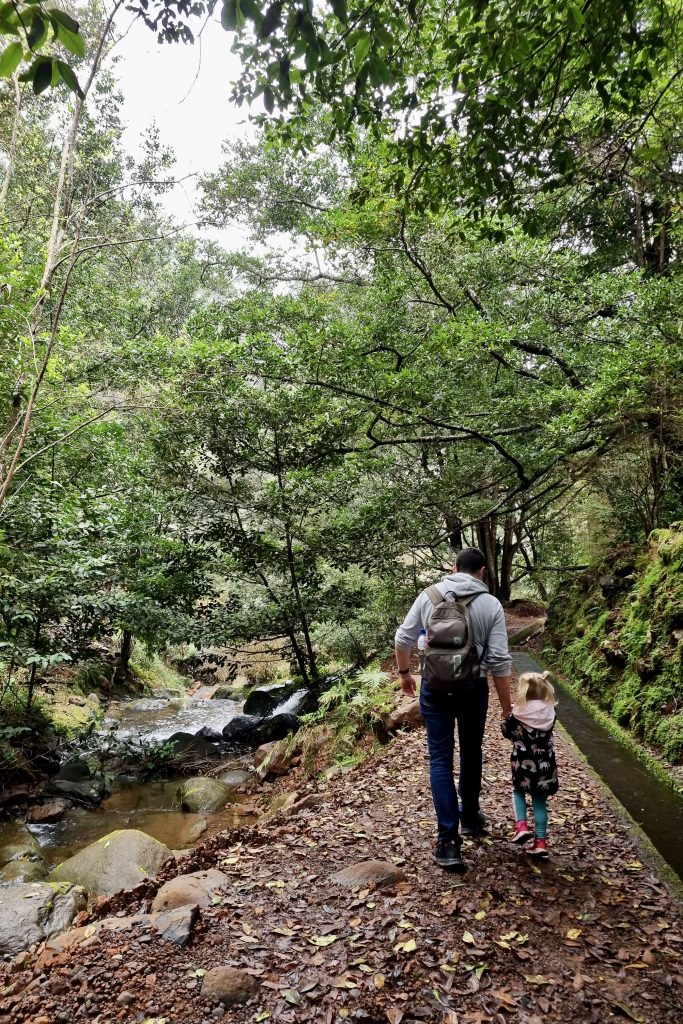 Hiking in Madeira