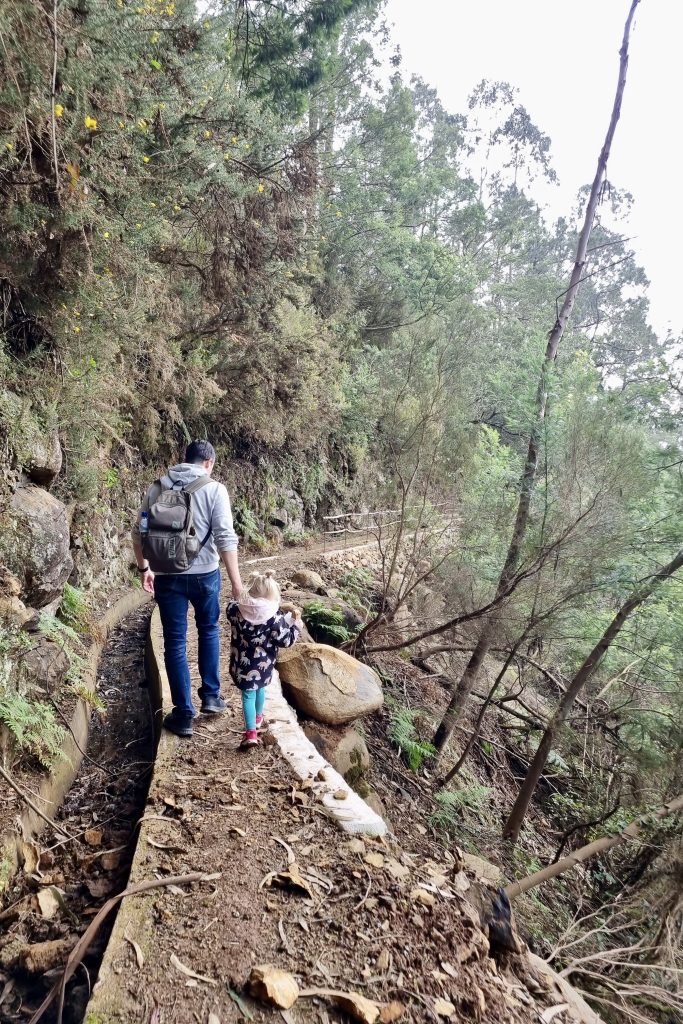 Hiking in Madeira