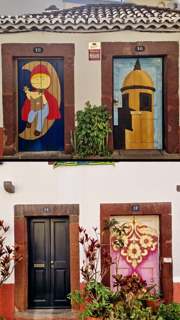 Artistic Door Murals